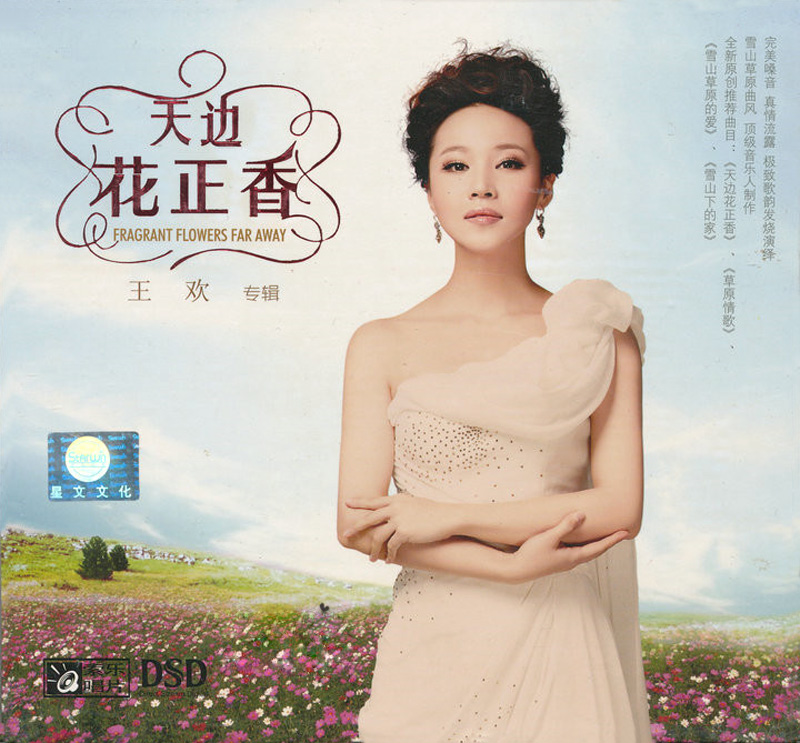 王欢-天边花正香COVER.jpg